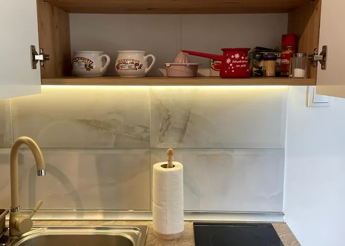 Boulevard 63 - Na 200 Metara Od Bele Parking Zone Apartman Újvidék