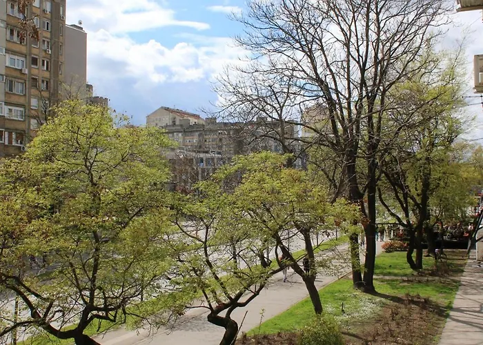 Boulevard 63 - Na 200 Metara Od Bele Parking Zone * Újvidék